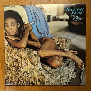 Terry Callier - What Color Is Love