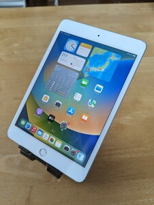 Apple iPad mini5 第5世代 64GB Wi-Fi Cellularモデル アクティベーションロック解除済み 動作確認済み KDDI ◯