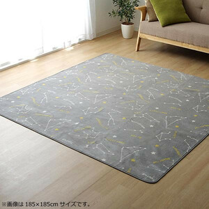 ラグ カーペット ホットカーペットカバー 『WSミリオン RUG』グレー約200×300cm 9809984