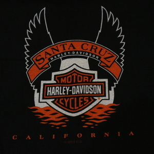 90s~ USA製 Harley Davidson Tシャツ L ブラック santa cruz 半袖 両面プリント ハーレーダビッドソン ロゴ モーターサイクル ヴィンテージ