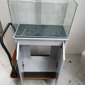 直接取引h58599 水槽 ガラスすいそう コトブキ工芸 レグラス 　水槽寸法約36×60×30cm