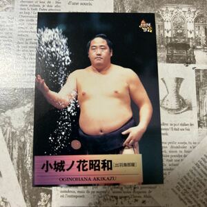1997BBM 57 小城ノ花　照和　相撲カード