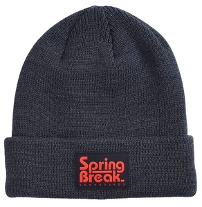 Capita Spring Break Beanie Dark Grey ビーニー 