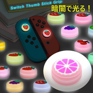 暗闇で光る☆ Nintendo Switch/Lite 対応 スティックカバー 【dco-151-05】 蓄光 シリコン キャップ スイッチ ジョイコン