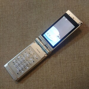 P-10A docomo 