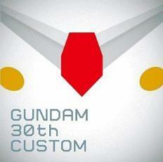 GUNDAM 30th CUSTOM レンタル落ち 中古 CD