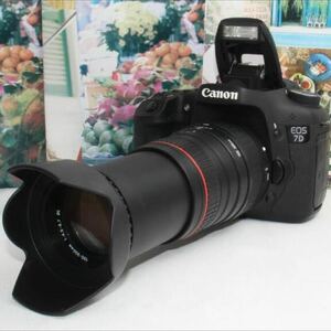 予備バッテリー付Canon EOS 7D 超望遠 300mmレンズセット