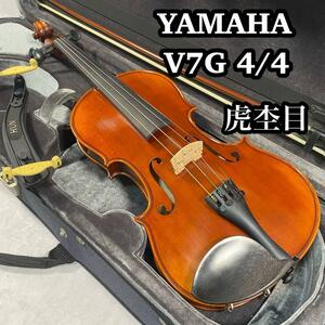 YAMAHA ヤマハ　バイオリン　V7G 4/4 Braviol（ブラビオール）