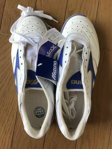 当時物　未使用　デッドストック　Mizuno　バドミントンシューズ　エアリアルXX　品番：７KM-51114　サイズ：24.0㎝　　TM9349