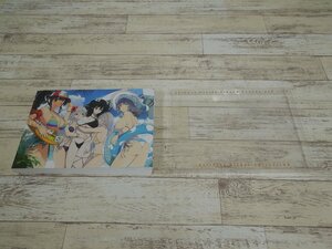 058A 画集 シノビマスター 閃乱カグラ NEW LINK【中古】