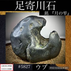 《GW感謝祭》水石 盆栽 北海道産足寄川石 ウブ 銘 『月の雫』 横22×高8(cm) 4.12kg骨董盆石古美術鑑賞石観賞石太湖石中国古玩 5827