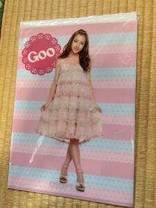 Goo付録板野友美クリアーファイル