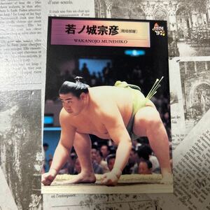 1997BBM 38 若ノ城　宗彦　相撲カード