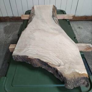樫 カシ 約長860幅260〜340厚35〜40ミリ 製材後半年 未乾燥 無加工 耳付き板 一枚板 天然木 無垢 花台 テーブル板 