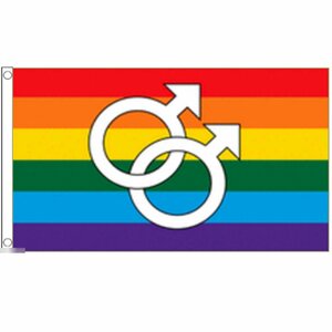 海外限定 国旗 虹 レインボーフラッグ LGBT ゲイ シンボル マーク 特大フラッグ