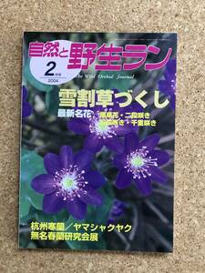 自然と野生ラン 2004年2月号 ※ 雪割草 寒蘭 ヤマシャクヤク 春蘭 ※ 園芸JAPAN