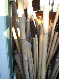 竹の素材　太さ　3ｃｍ～6ｃｍ　引き取りでお願いします。　