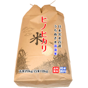 ヒノヒカリ 玄米20kg/白米18kg 2023年産 うちぬきで育てた清流米 百姓直送 送料無料 北海道/沖縄/東北は別途送料 宇和海の幸問屋