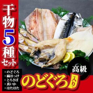 ギフト 高級のどぐろ入り 干物 詰め合わせ 5種セット のどぐろ 縞ほっけ とろさば 真いか はたはた ギフト 贈り物 ※加熱用　FF