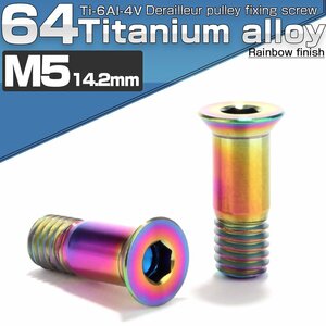 64チタン製 ディレイラープーリー ボルト M5×14.2mm レインボー 2本セット チタンボルト JA468