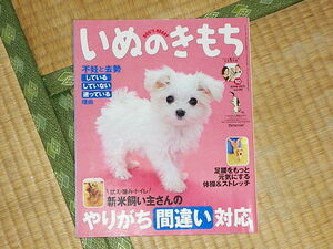 いぬのきもち2009.10月号 新米飼い主さんのやりがち間違い対応 付録なし