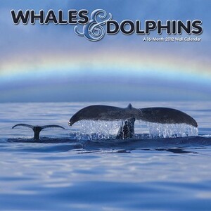 2012年 輸入 クジラとイルカ カレンダー〔新品〕 12CP-003