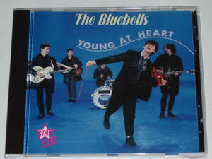 CD The Bluebells（ザ・ブルーベルズ）『Young at Heart』ネオアコ/ギターポップ