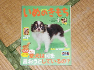 いぬのきもち2009.7月号 愛犬に泳ぎ方を教えてみよう！ 付録なし 美品