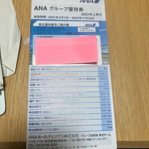 ANA 株主優待　セット　搭乗券　航空機