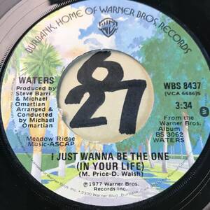 試聴 WATERS I JUST WANNA BE THE ONE (IN YOUR LIFE) VG++ SOUNDS EX