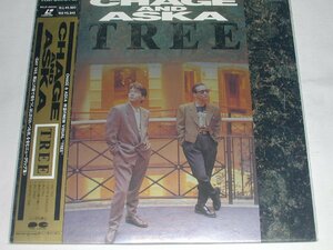 （ＬＤ：レーザーディスク）チャゲ＆飛鳥 CHAGE&ASKA／TREE【中古】