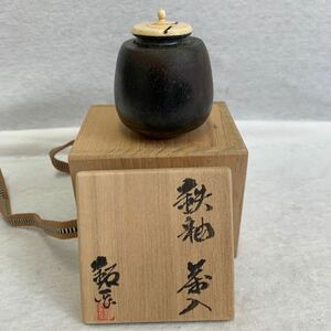 茶入 茶道具 鉐一　作　瀬戸市　陶房　水野鉐一　箱