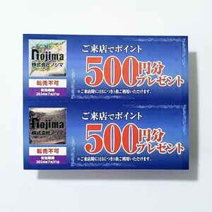 ノジマ nojima 株主優待券 来店ポイント 500円分プレゼント 10枚セット 5000円分 有効期限2024年7月末