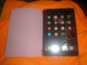 Apple iPad mini WiFi+Cellular16GB MD540JA CASE SET