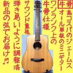 【牛骨★オール単板】James☆ジェームス！ミニギター【弾き易く調整☆新品の弦】