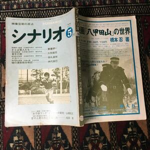 シナリオ 1977年5月号 さらば恋人たち 青年の樹 ドカベン壇の浦夜枕合戦記 斎藤耕一 鈴木則文 西村潔 大和屋竺 掛札昌裕 神代辰巳 水島新司