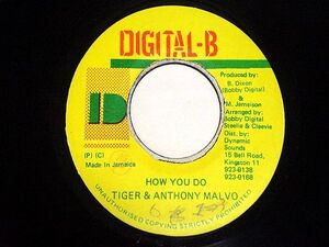 試聴あり♪ TIGER & ANTHONY MALVO / HOW YOU DO ROCK DESIRE MIX CD 収録曲