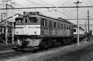 [鉄道写真] 飯田線ED62-9 伊那松島機関区(2439)