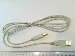 USB Type-B コネクタケーブル　グレー　★鄭3