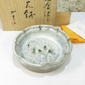 【G0325】唐津焼 西岡小十 絵斑唐津 輪花鉢 共箱 共布 栞付き 検）茶道具 菓子器 菓子鉢