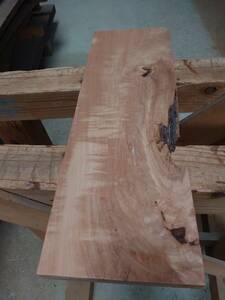 とち　橡　No.240305-A　無垢　乾燥材　板（長さ500㎜ｘ幅165㎜ｘ厚み25㎜）1枚　木材　DIY　棚板　小物作りに