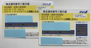 ANA株主優待券・2枚セット・2024.11.30有効期限