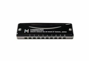 HAMMOND ハモンド 10穴ハーモニカ HAMMOND HA-20 F調