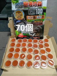 昆虫ゼリー　樹液の森ワイドカップMAX100 70個