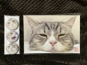 もちまる商店★マグネット＋ポストカード【もちまる日記】猫