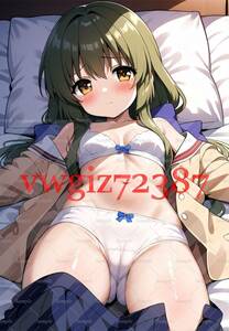 AN-3055 2G 伊吹風子 CLANNAD クラナド 同人 A4 ポスター アニメ 高品質 anime 美少女 制服 イラストアート ポスター