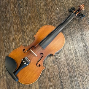 Hallstatt V-12 String Instrument ハルシュタット バイオリン -GrunSound-x981-