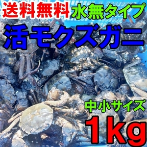 活モクズガニ【海水なしタイプ】 小中サイズ１kg(目安 10-20杯) ツガニ つがに 他に大サイズも出品中 もくずがに