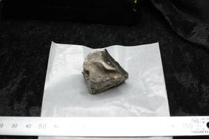Dy　ジスプロシウム　純度９９．９％　100ｇ　レアアース　ランタノイド　希土類　金属元素標本　販売