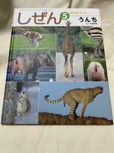 キンダーブック　しぜん　平成24年5月号　うんち　指導；今泉忠明